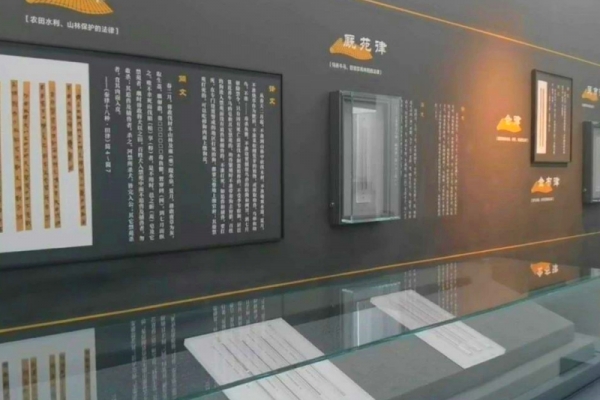 跟着总书记看简牍
