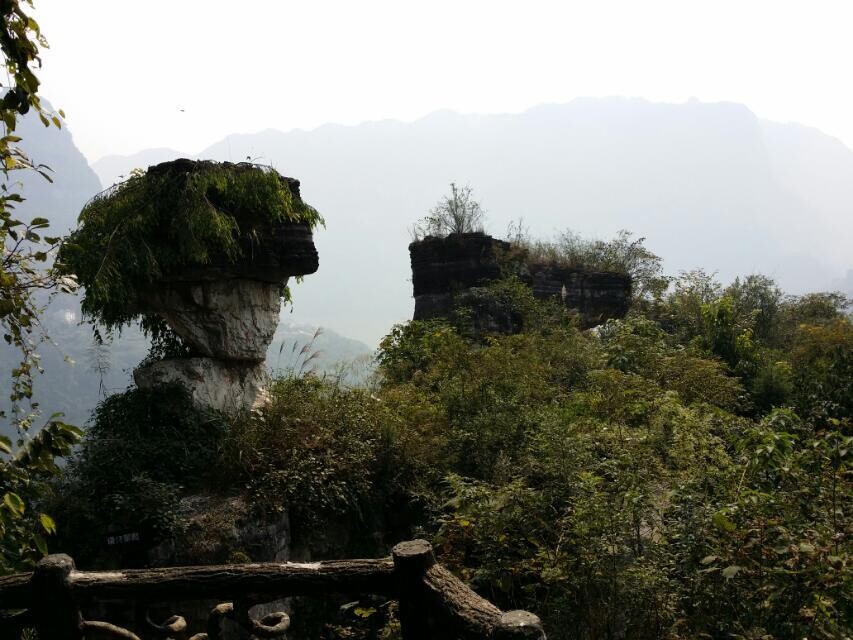 QQ图片20021015093721