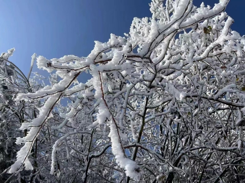 百里荒雪景
