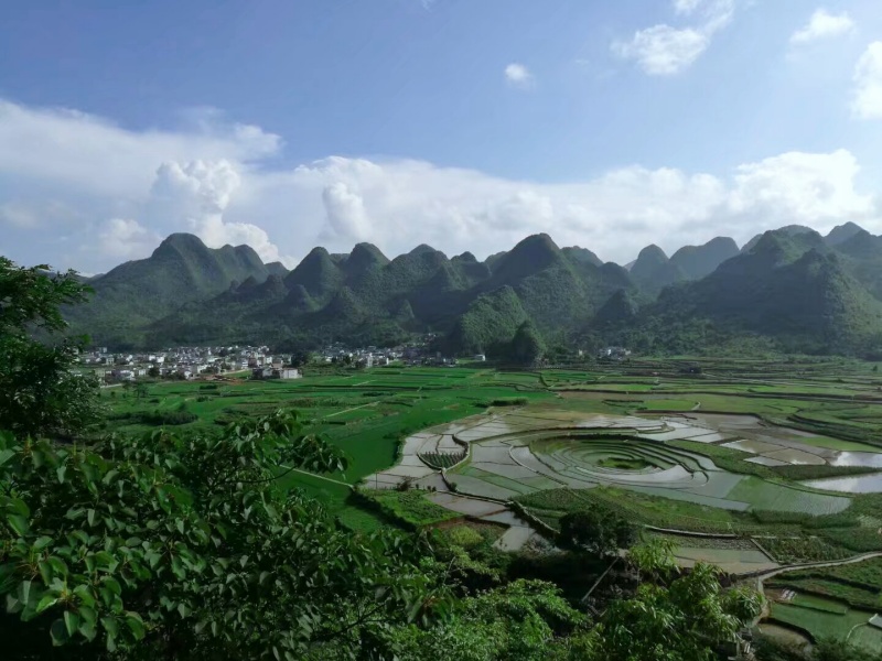 万峰林2_副本
