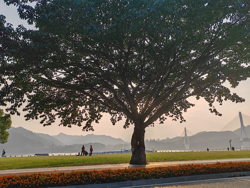 宜昌江边风景