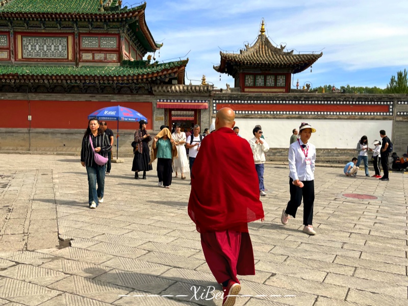 塔尔寺61