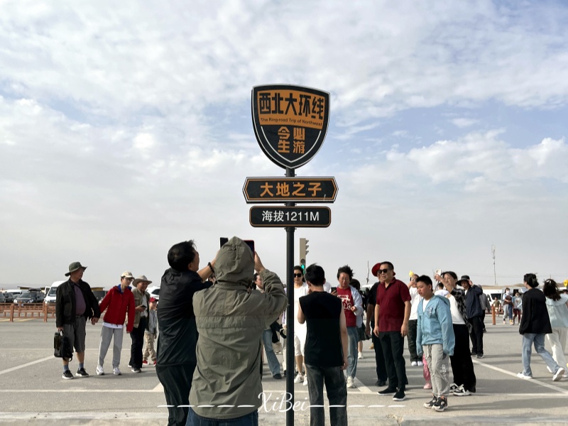 大地之子5