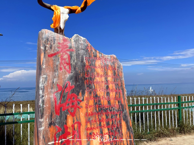 青海湖111