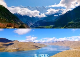 宜昌到西藏桃花季出游行程攻略/跟团游价格/春日限定【雪域尊享】双卧11日/单卧9日