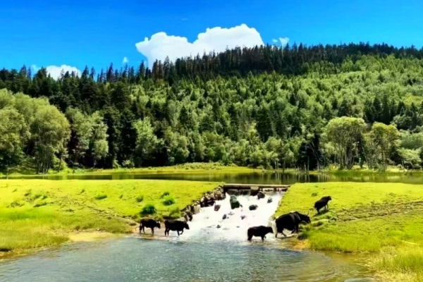 春暖花开正是来云南的好季节！云南旅游景点大全，4-5月份来云南旅游的宝子，不要错过啦