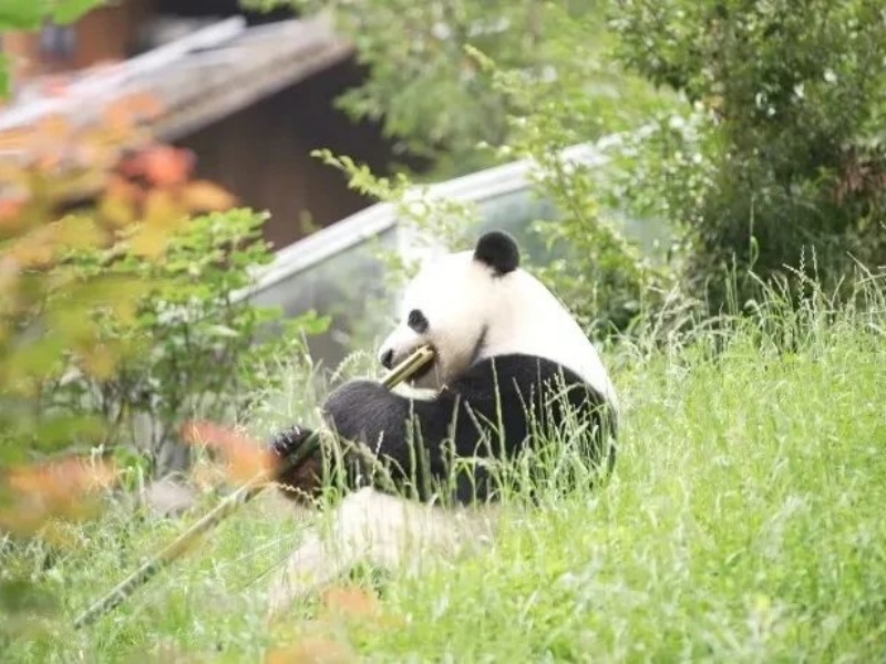 微信图片_20250427093820_副本