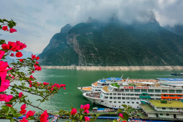 三峡游轮太多不知道选哪个？三峡游轮选船超详细攻略大全+干货满满