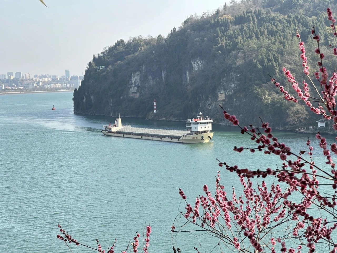 微信图片_20250328103952