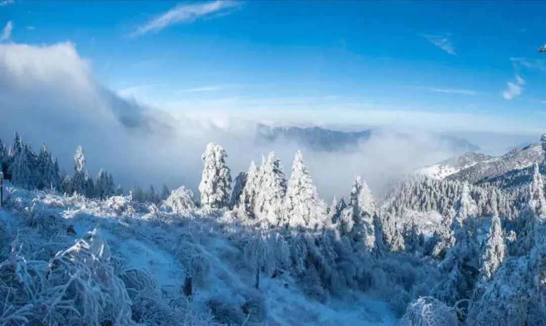 宜昌到神农架国际滑雪二日游，天天发班